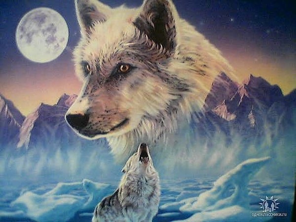 одинокий волк